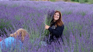 Visiting a Local Lavender Farm amp Making Lavender Wreaths With My Mom 💜🌿🥰 Garden Answer [upl. by Borchers930]