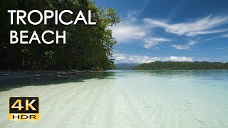 4K HDR Tropical Beach  Gentle Ocean Wave Sounds  Peaceful Wild Island  Relaxing Nature Video [upl. by Werdna]