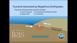 Tsunamis Generated by Megathrust Earthquakes [upl. by Bernette]