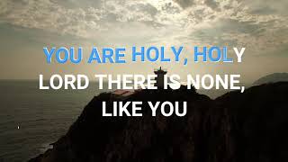 YOU ARE HOLY by Hillsong KARAOKE [upl. by Denoting]