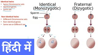 Everything You Need To Know About Fraternal and Identical Twins  Dr Sarah Finch [upl. by Ariella]