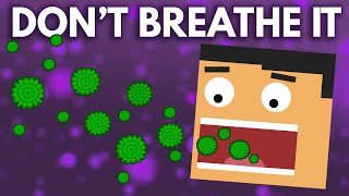 What Happens If You Breathe In Mold Spores [upl. by Ytirahs]