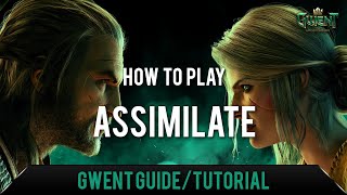 GWENT How To Play Assimilate GuideTutorial [upl. by Alveta]