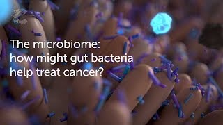 The microbiome how might gut bacteria help treat cancer  Cancer Research UK [upl. by Asserac]