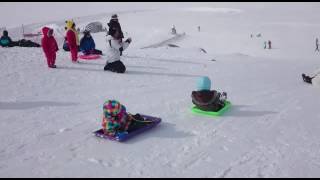 Snowy mountain toboggan snow play [upl. by Atcliffe]