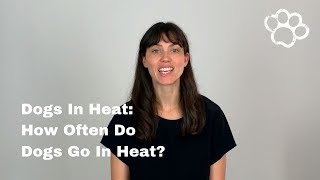 Female Dog Heat Cycles How Often Do Female Dogs Go In Heat [upl. by Alegnad181]