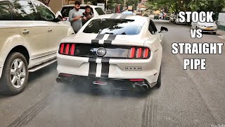 Mustang GT 50 Stock Exhaust Vs Loud Corsa Performance Exhaust [upl. by Resarf498]