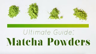 The Best Affordable Matcha Powders  Matcha 101 [upl. by Kerat624]