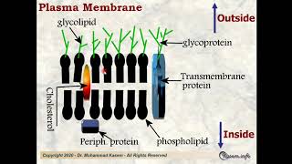 Cytology Lecture 1 for medical students [upl. by Elyse]