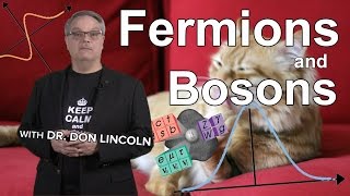 Fermions and Bosons [upl. by Ennovyahs795]