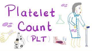 Platelet Count PLT [upl. by Eimmij154]