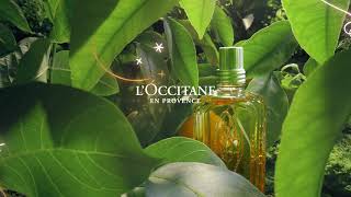 Holiday 2020  LOccitane [upl. by Vilma]