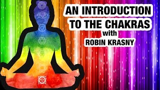 Beginners Guide to Chakras  Everything You Need to Know About Chakras [upl. by Groome]