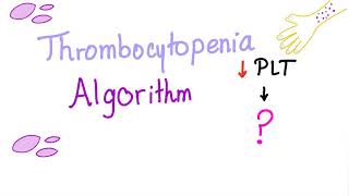 Thrombocytopenia Low Platelet Count  Evaluation Algorithm [upl. by Nhar]