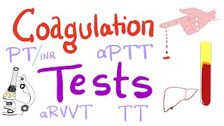 Coagulation Tests  PT aPTT TT Fibrinogen Mixing Studies [upl. by Thorwald]