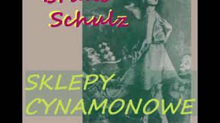 Sklepy cynamonowe  Bruno Schulz Audiobook PL [upl. by Immas]