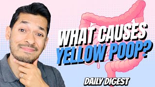 What Causes Yellow Poop [upl. by Enneillij995]