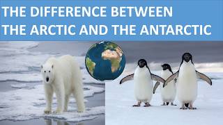 THE DIFFERENCE BETWEEN THE ARCTIC AND THE ANTARCTIC  SCIENCE VIDEO FOR KIDS [upl. by Enimasaj902]