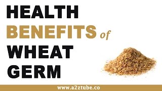 Health Benefits of Wheat Germ [upl. by Ixel28]