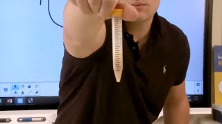 DNA Extraction from Wheat Germ [upl. by Nora]