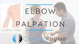 Elbow Palpation  Clinical Physio Premium [upl. by Llednov496]