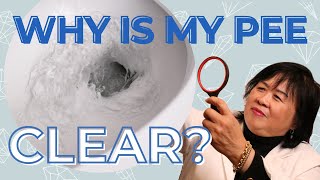 Why Is My Urine Clear [upl. by Arremat]