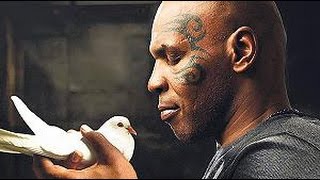 Mike Tyson  Motivation Training [upl. by Bertina]