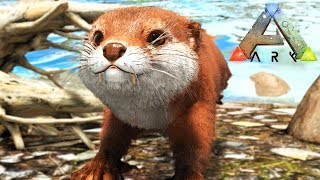 FINDING OTTERS  ARK SURVIVAL EVOLVED [upl. by Tabber]