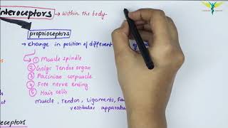 Properties of Receptors  Physiology  Laws  Part3\3 [upl. by Melly]