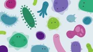 Introducing The Human Gut Microbiome [upl. by Sirkin]