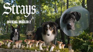 Strays  Official Trailer [upl. by Dami]