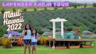 Maui Hawaii 2022 Lavender Farm Tour [upl. by Urata]