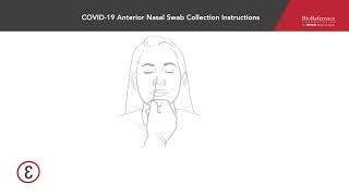 QSwab Environmental Sample Collection Swab [upl. by Teiluj840]