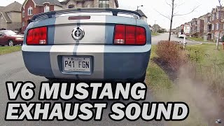 2005 Ford Mustang 40L V6  Exhaust Sound amp Revving [upl. by Bigg]