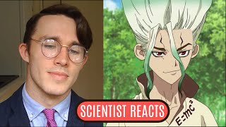 Scientist REACTS to Dr Stone [upl. by Elianore958]