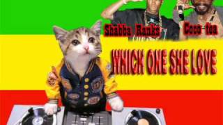 Shabba Ranks ft coco tea  which one she love [upl. by Corron]