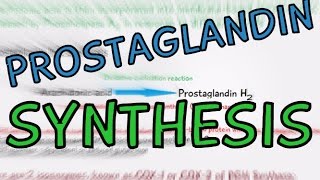 Biochemistry Help Prostaglandin Synthesis explained in 4 Minutes How are Prostaglandins made [upl. by Bruns288]