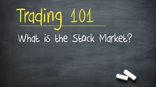 Trading 101 What is the Stock Market [upl. by Nerrol]