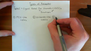 Types of Receptors Part 1 [upl. by Laefar]