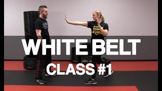 Introduction to Krav Maga  White Belt Class 1 Stance amp Palm Strike [upl. by Garfield]