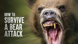 How to Survive a Bear Attack [upl. by Yardley]