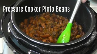 Pressure Cooker Pinto Beans  No Soak Quick Cook Beans  Cosori 2 Quart Electric Pressure Cooker [upl. by Ylesara]