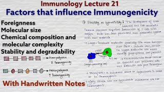 Immunogenicity  Factors that influence immunogenicity  Immunology lecture 21 [upl. by Donnenfeld]