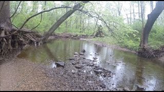 Creek fishing for bluegill sunfish and bream  pole fishing [upl. by Leavelle]