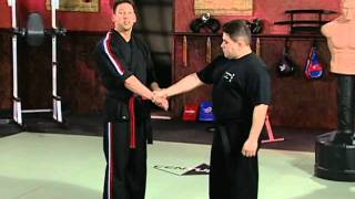 Scott Rogers Authentic Pressure Point  Volume 1 Fundamentals of Pressure Points Arms and Set Ups [upl. by Ilyak357]