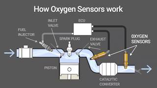 How O2 Oxygen Sensors Work Animation [upl. by Neeuq]