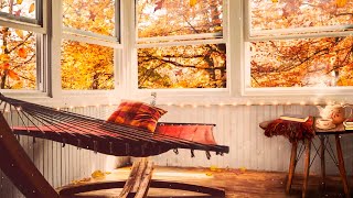 COZY Autumn Ambience relaxing reading room gentle falling leaves tea birds neighborhood sounds [upl. by Nneb276]