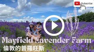 【香港人移民英國】倫敦近郊半日遊 ｜梅菲爾德薰衣草園 ｜夏日限定｜Mayfield Lavender Farm｜英國的普羅旺斯！？｜2022 Version [upl. by Nessaj]