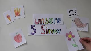 Unsere 5 Sinne erklärt [upl. by Zared]