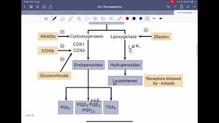 Prostaglandins explained  pharmacology  ImD module [upl. by Hayman]